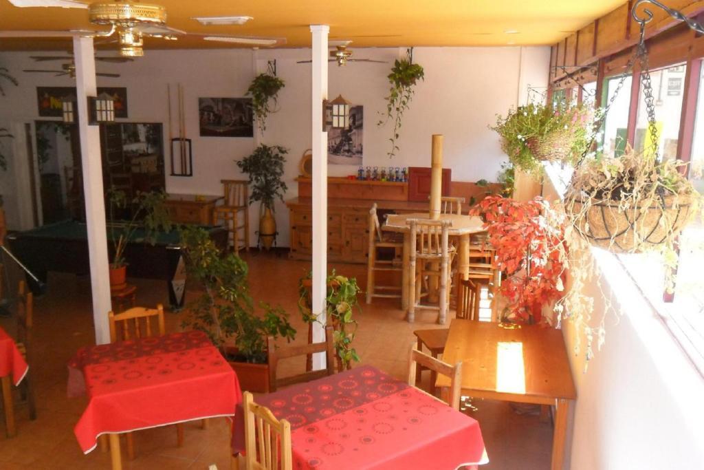 קוסטה דל סילנסיו Apartamentos Alondras Park מראה חיצוני תמונה