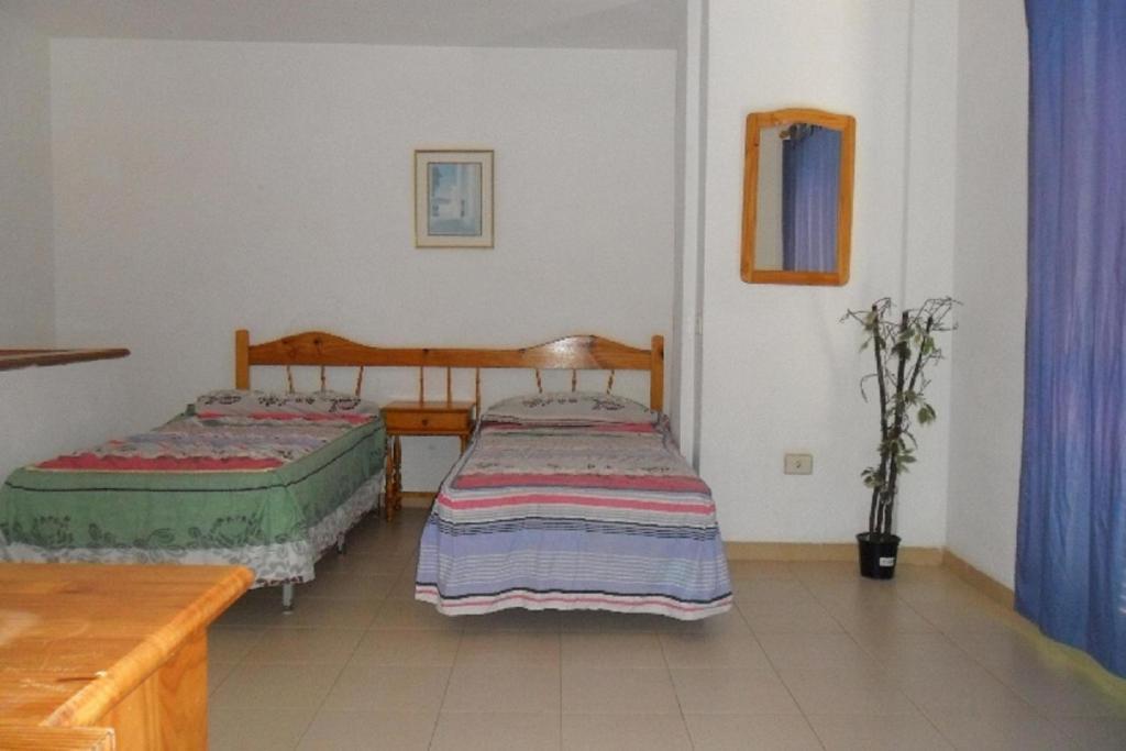 קוסטה דל סילנסיו Apartamentos Alondras Park מראה חיצוני תמונה